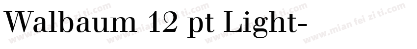 Walbaum 12 pt Light字体转换